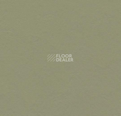 Кварцвиниловые полы Forbo Marmoleum Click 333355 rosemary green фото 1 | FLOORDEALER